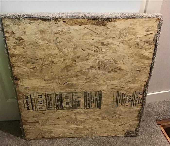 Water damaged particle board with mold growth on it
