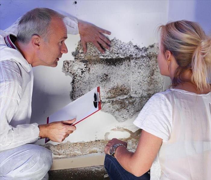 Mold contractor explaining to blonde female customer the damage of mold in the wall