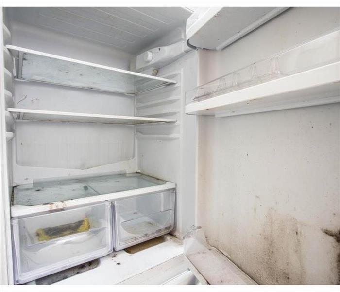 Mold in a refrigerator